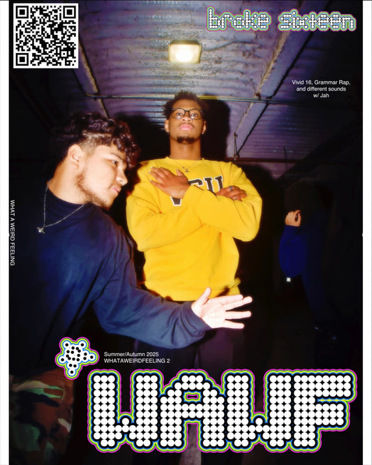 (02) 25' Summer/Autumn WHATAWEIRDFEELING 2 - Broke Sixteen (Cover) *PLEASE PROVIDE AN EMAIL AT CHECKOUT TO BE SENT THE ZINE VIA PDF DOWNLOAD*