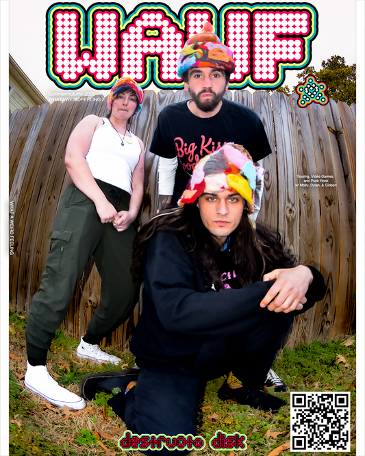 (02) 25' Summer/Autumn WHATAWEIRDFEELING 2 - Destructo Disk (Cover) *PLEASE PROVIDE AN EMAIL AT CHECKOUT TO BE SENT THE ZINE VIA PDF DOWNLOAD*